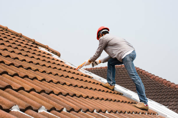 Best Metal Roofing Installation  in Pine Crest, TN